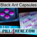 Black Ant Capsules 37